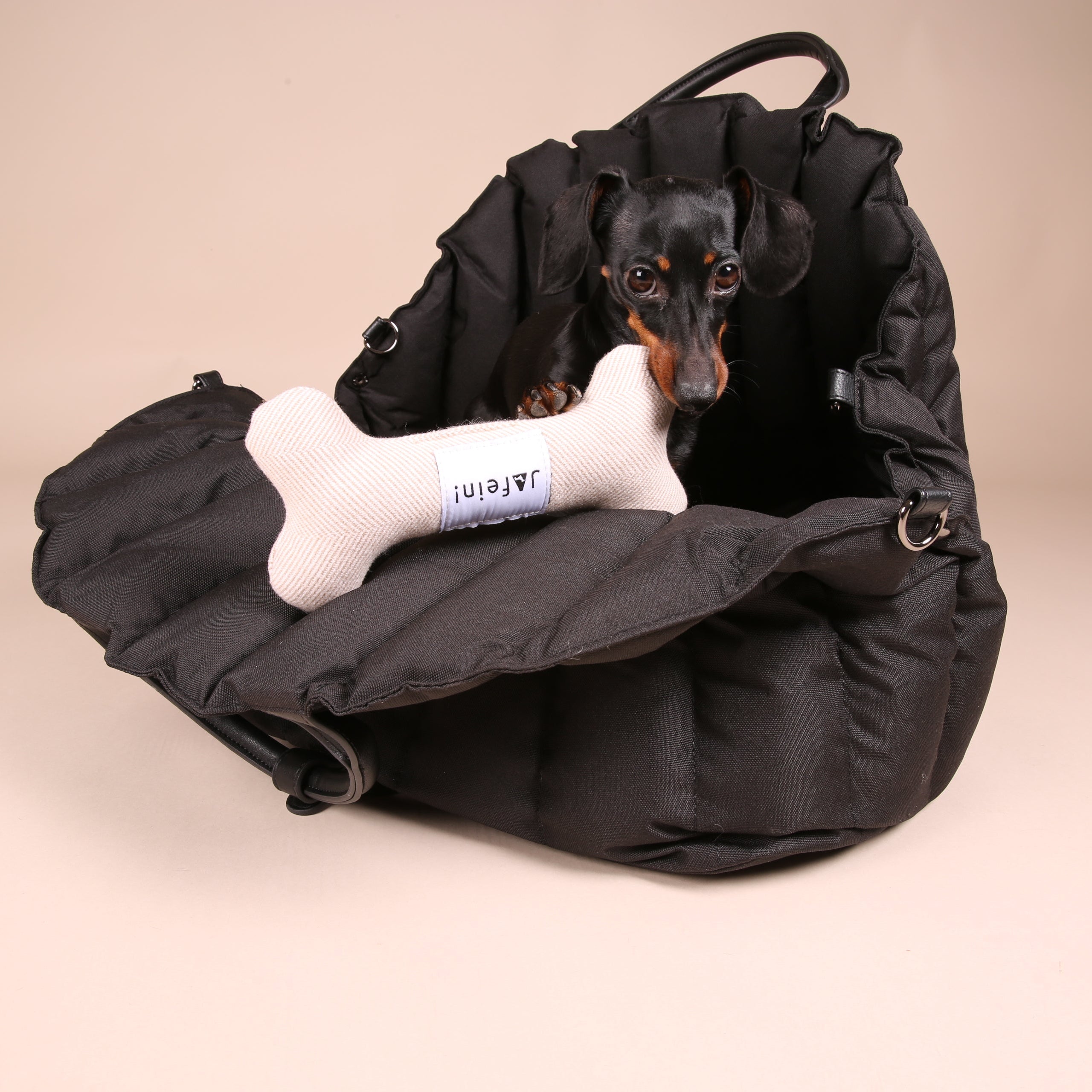 Dog bag Car Paris