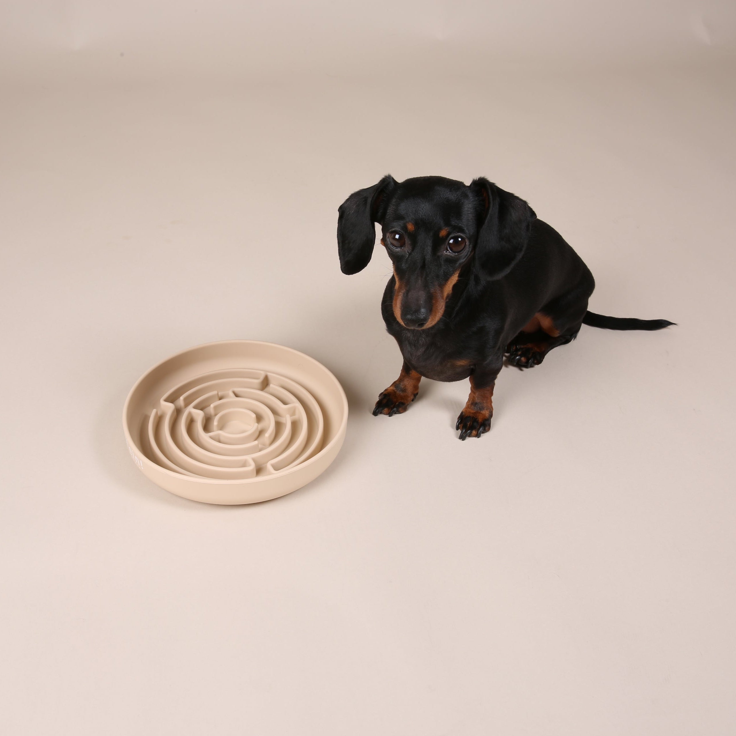 JAfein! Schleckteller Calme Greige