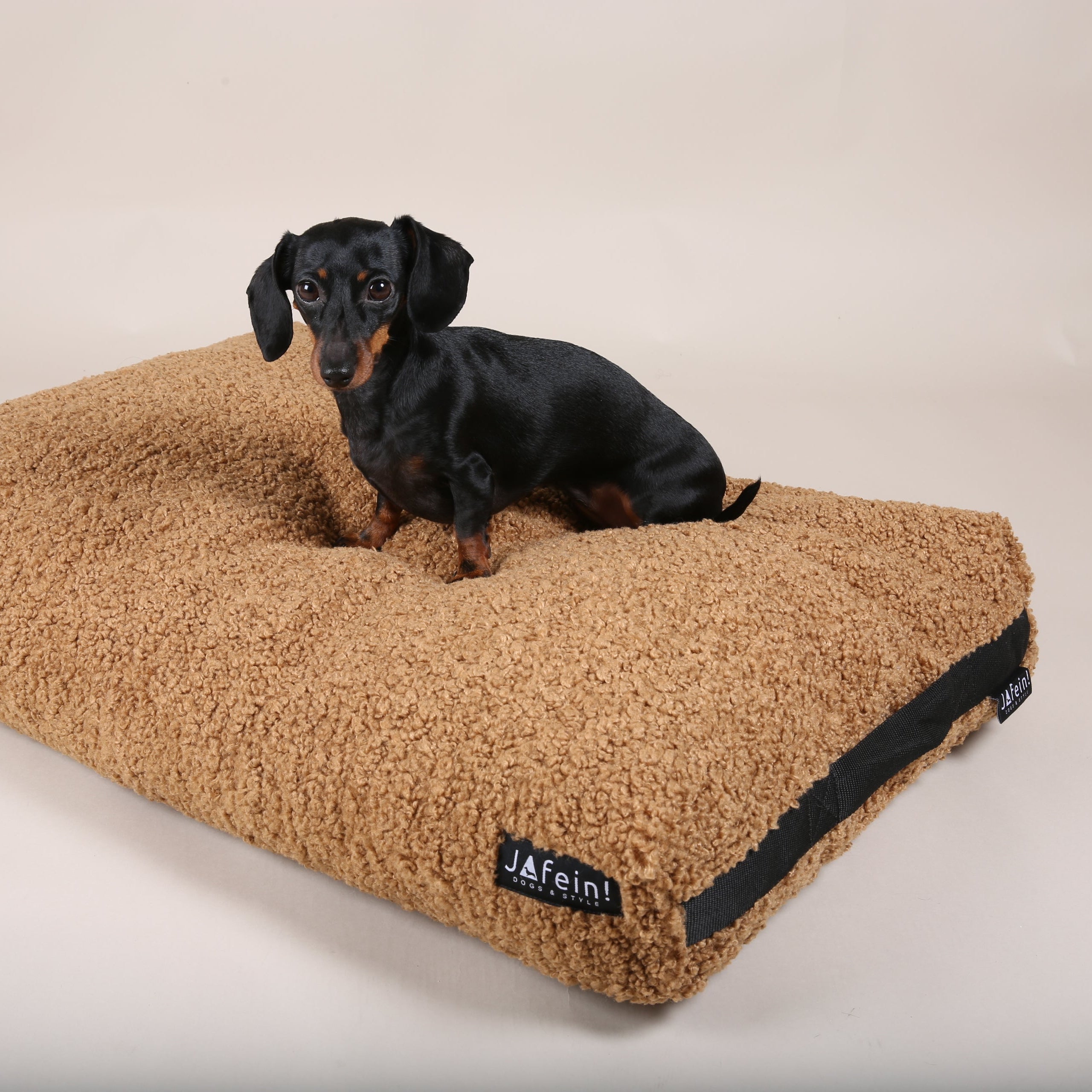 Perfect! Chillout Brown Dog Cushion
