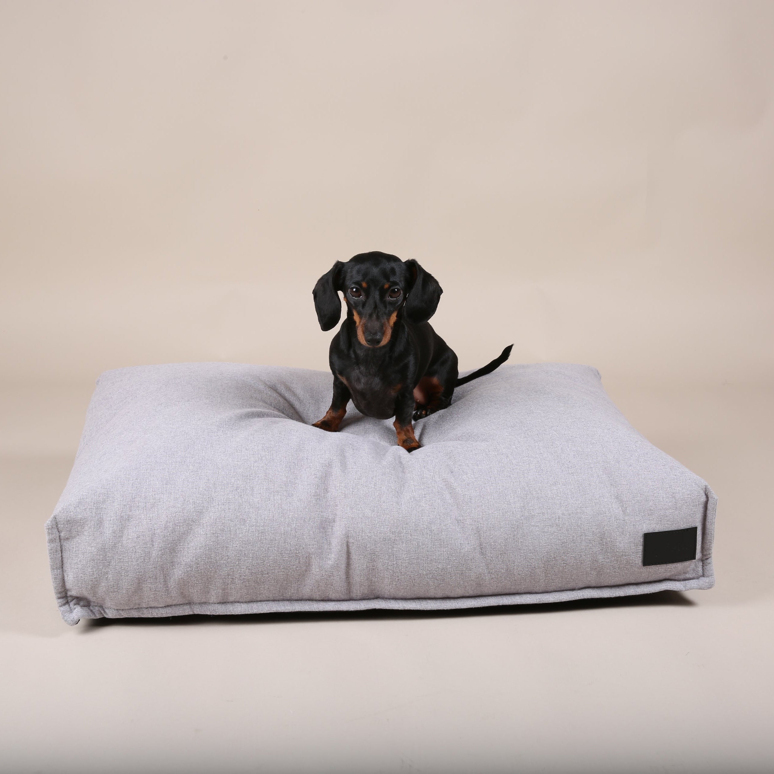 JAfein! Chambord dog cushion