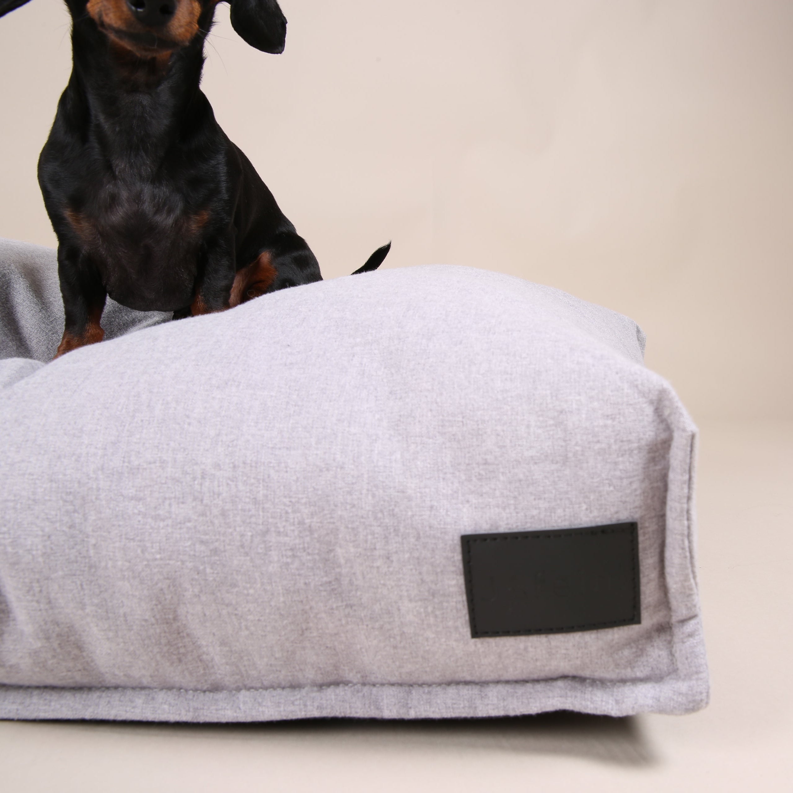JAfein! Chambord dog cushion