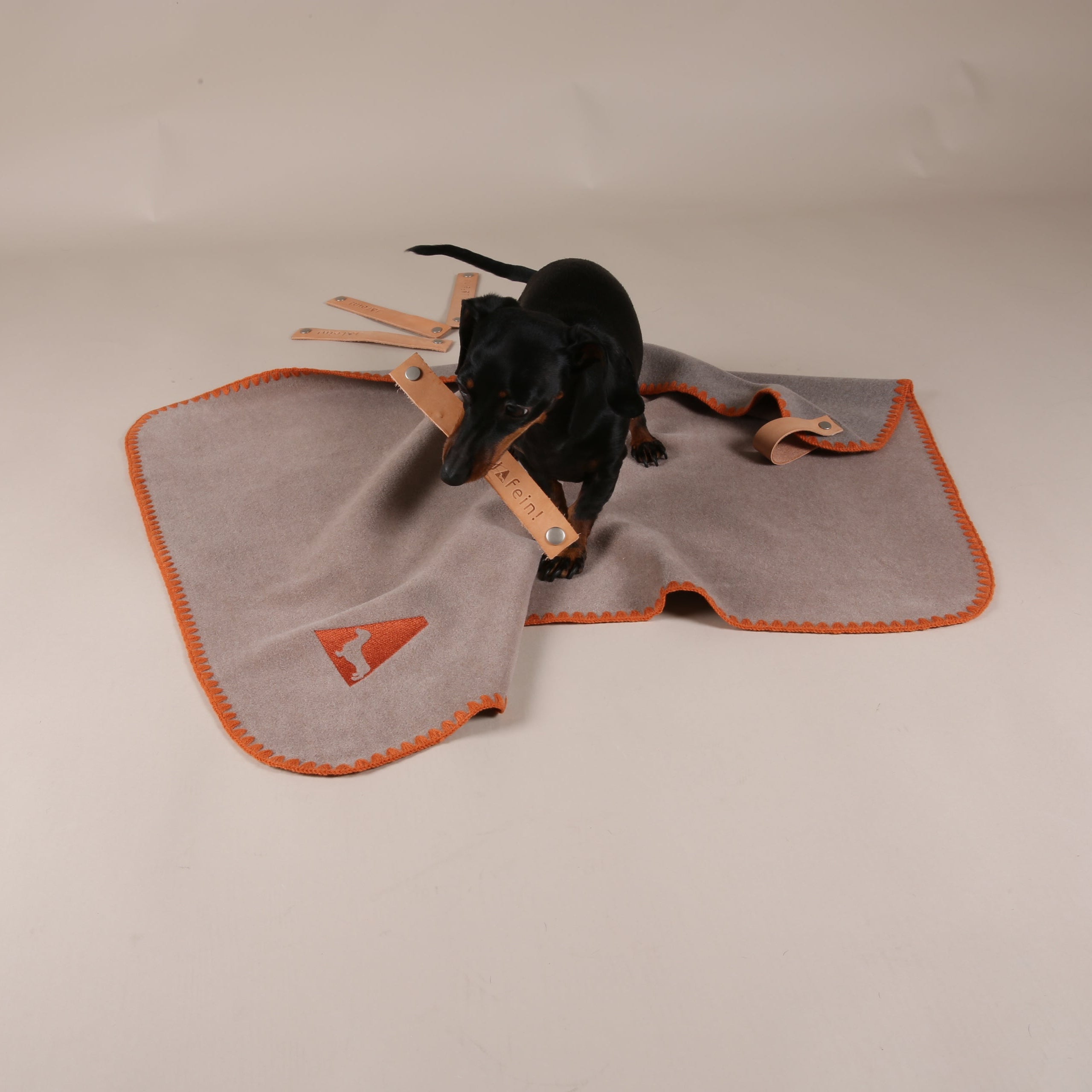 JAfein! Hundedecke Chic & Schnuff - Sand - Orange