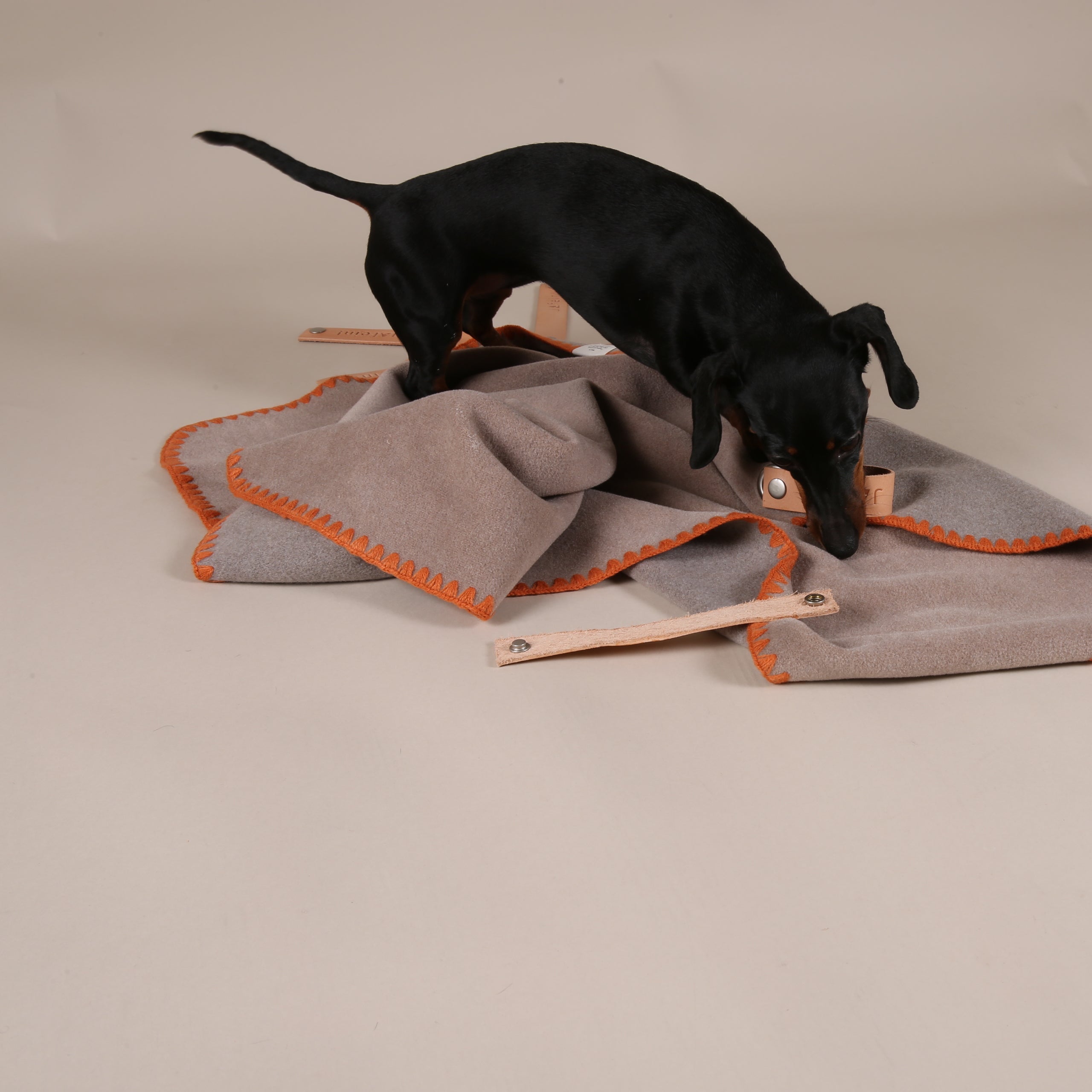JAfein! Hundedecke Chic & Schnuff - Sand - Orange