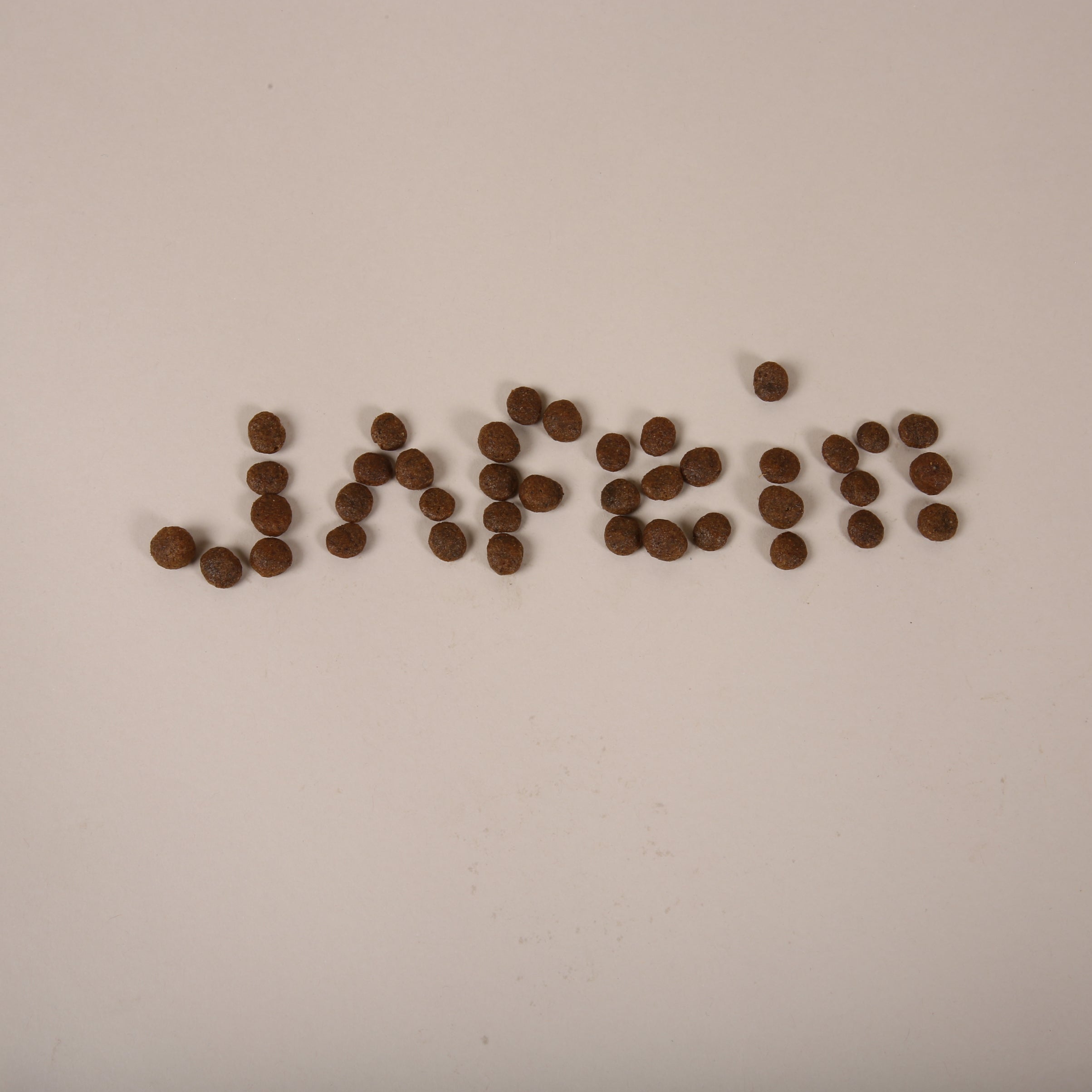 JAfein! Snack Bag – Green Bloom