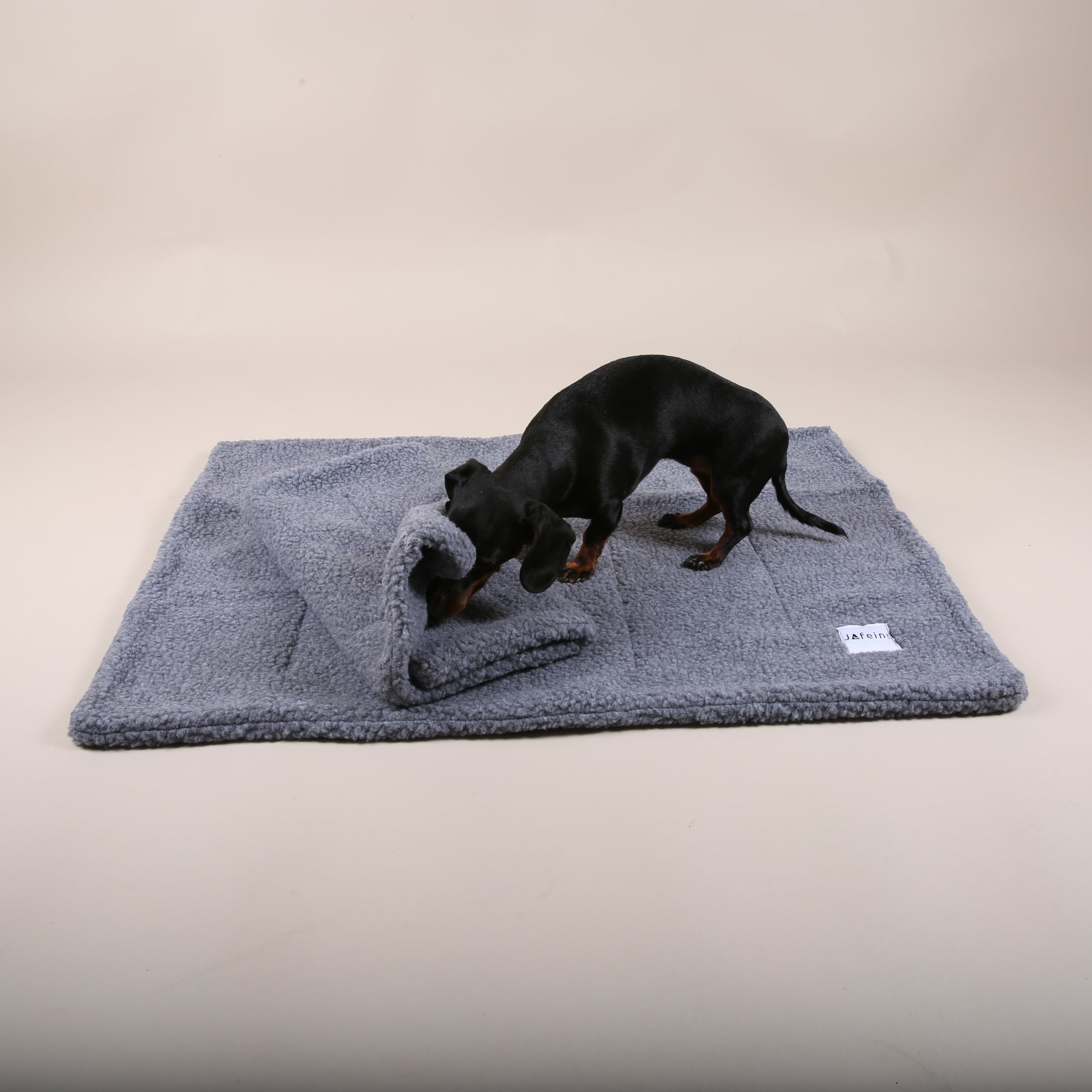 Dog travel blanket bouclé