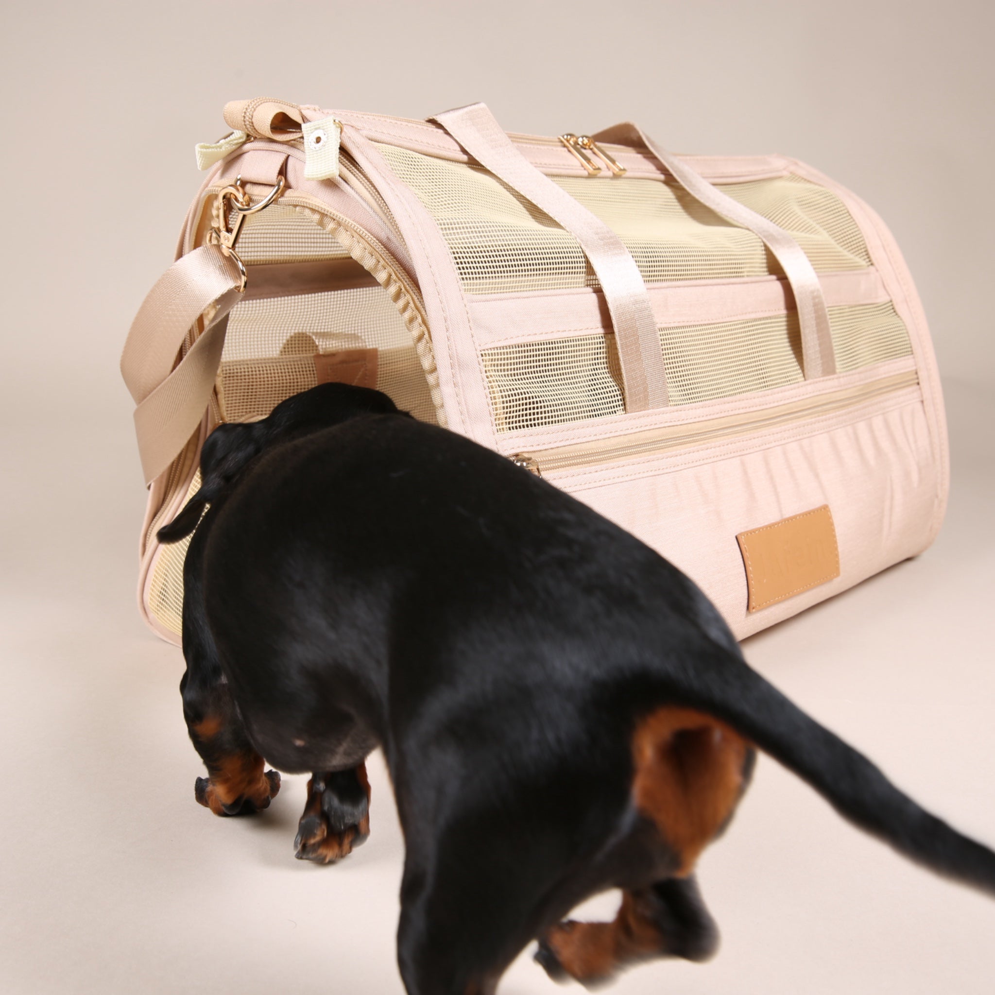 Transporttasche für Hunde | Fly Bag für Hunde | JAfein! Dogs & Style